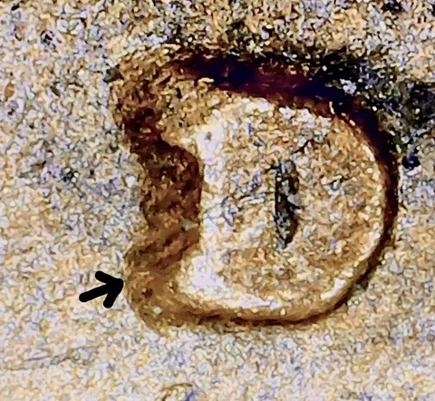 1912 D lincoln wheat cent penny D/D RPM Mint error Cover