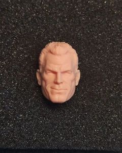 HL822 1/12 Unpainted Jebediah of Canaan Shazam Head Carved Fit 6'' ML Action Fig - Picture 1 of 5
