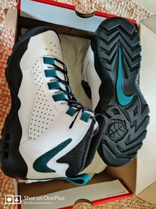 nike air darwin high