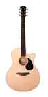 Furch Violet Gc-SM SPE Master's Choice El- Acoustic Solid Wood + VIP PACK