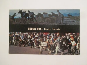 Beatty Nevada Postcard Burro Race NV - Picture 1 of 2