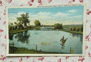 Cartolina vintage 1931 Lake St. Marys, Ohio State stagni per incubatori di pesci - Foto 1 di 1