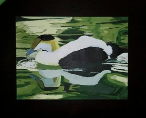 Common Eider (Duck) - Acrylic Painting - Original Artwork - 9" x 12" - Picture 1 of 4