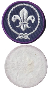 Small World Crest Emblem Felt Back Patch (AR2917) - Picture 1 of 1