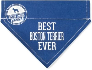 Boston Terrier Bandana - Canvas 7 X 5.25 - Picture 1 of 1