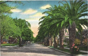 Sacramento California Palm Bordered Residence Palm Trees Vintage Postcard - Picture 1 of 2