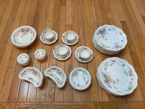 Schleiger 226 by Haviland & Limoges, Gray Pink, 49-piece Set, C1893 - Picture 1 of 9
