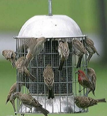 LARGE SQUIRREL PROOF STAINLESS STEEL WILD BIRD FEEDER - Image 1 of 4