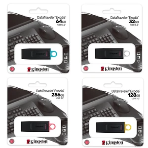 Kingston Exodia Stick USB 3.2 DataTraveler 32GB 64GB 128GB 256GB Memoria USB - Imagen 1 de 12