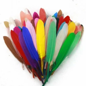 Plumas de pato coloridas de 10-15 cm/4-6 pulgadas accesorios artesanales pequeñas plumas de ganso - Imagen 1 de 43
