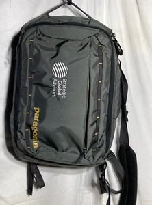 Patagonia Tres 25 L Padded Back Polyester Messenger Backpack Bag Gray Logo - Picture 1 of 15