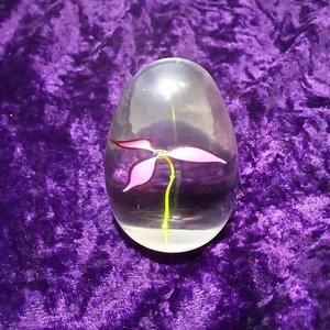 David Wilson Signed 6 cm Crystal Egg Flower Pink Delicate Stem Paperweight 1999 - Picture 1 of 14