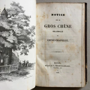 Notice sur le gros chêne d'Allouville ou chêne chapelle (Yvetot) — Mégard — 1856 - Imagen 1 de 12