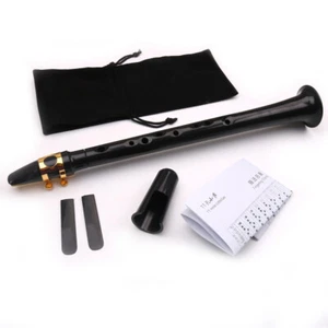 Pocket Sax Portable Saxophone Little Saxophone With Carrying Bag Bell Mouth J9A4 - Picture 1 of 4