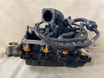 Ford E350 2003 furgoneta colector de admisión superior con riel inyector 5,4 L OEM YL3E9425BD Foto 1 de 4