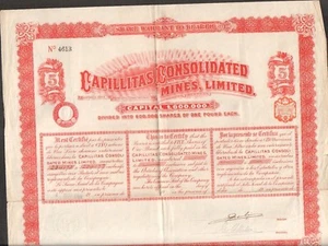 Titre 5 actions: CAPILLITAS Consolidated Mines (ARGENTINE) (U) - Picture 1 of 1