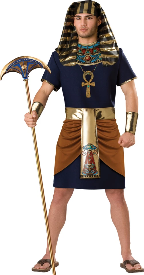 Adult Egyptian King Pharaoh Costume  - Image 1 of 1