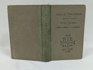 Antique 1918 HC ~ Cellae Trichorae & Christian Antiquities ~ Edwin Freshfield - Picture 1 of 9