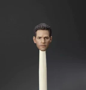 Manipple Studio Escala 1/12 Hombre Hombre Paul Rudd Cabeza Tallada 6 pulgadas Figura Modelo Juguetes - Imagen 1 de 10