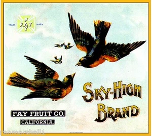 Los Angeles Fay Sky High Black Birds naranja cítricos caja de frutas estampado artístico - Imagen 1 de 1