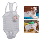 Adjustable Striped Dog Pantie with Suspender - Grey Pet Diaper for Dogs