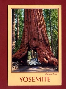 AK - USA - CALIFORNIA YOSEMITE NATIONAL PARCK - GEREIST - Bild 1 von 1