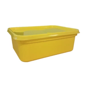 Plastic Rectangular Ice Cream Containers & Lids - 2L Size-Green/Yellow/Red/Blue - Picture 1 of 5