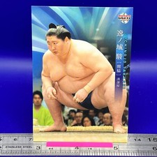 Ichinojo Takashi 08 8 Sumo Wrestler Trading Card BBM 2019 TCG Japanese #392a