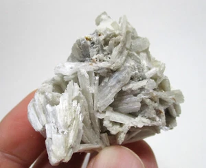 +++ Tremolit xx (Grammatit) -- Campolungo, Tessin, Schweiz +++ - Picture 1 of 4