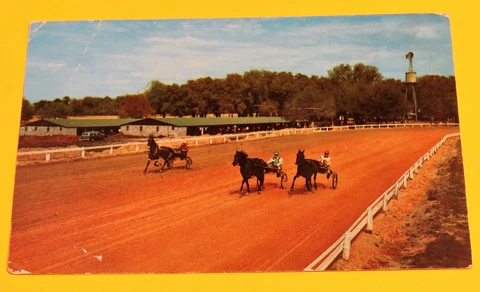 Vtg Postcard Spring Garden Ranch Harness Horses Racing DeLeon Springs Florida Cover