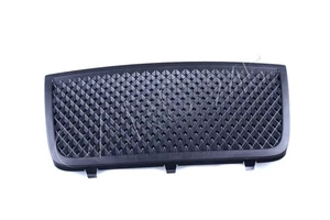 Genuine Grille center lower AUDI R8 422 423 427 429 420807925 - Picture 1 of 3