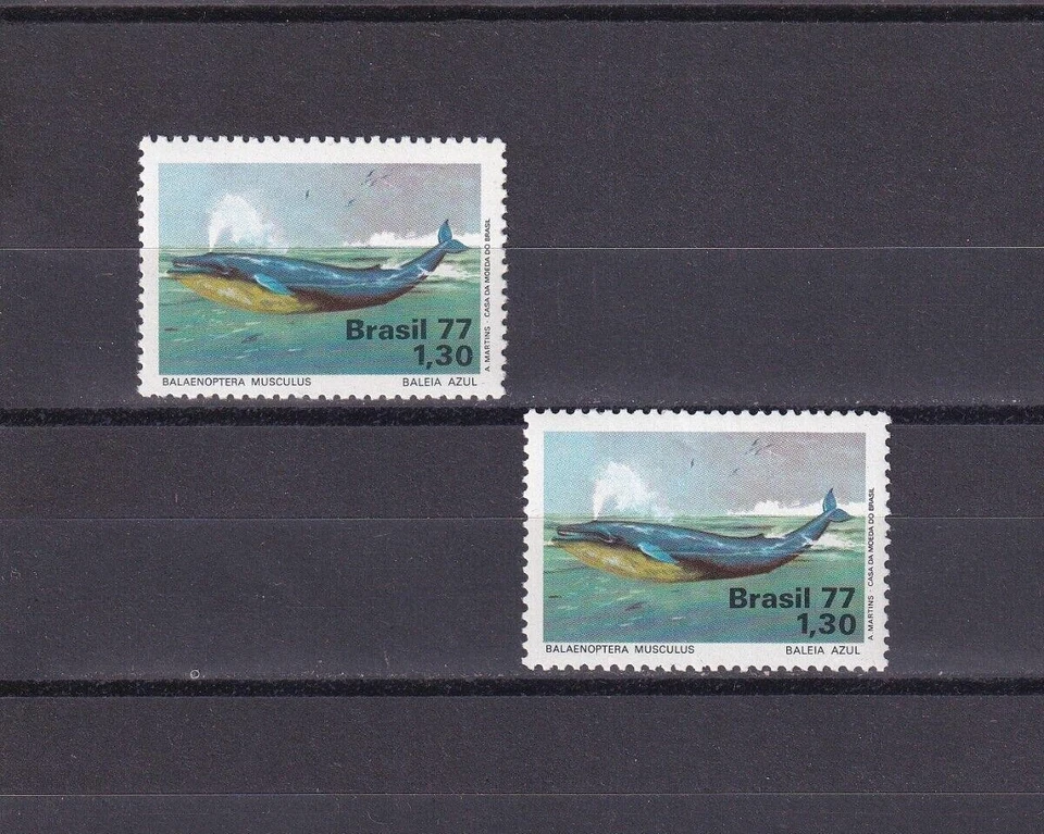 SA06 Brazil 1977 Fauna Preservation-Whale mint stamps - Image 1 of 1