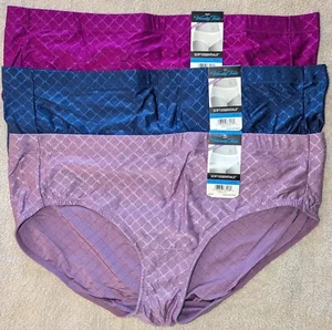 Vanity Fair Soft Essentials Nylon Hipsters Mauve/Blue/Maroon ~ 9 XXL NWT - Picture 1 of 11