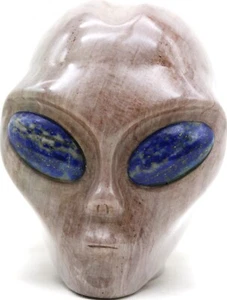 Hermosa Escultura Artística MADERA PETRIFICADA CABEZA ALIENÍGENA con Ojos Gema LAPISLÁZULI - Imagen 1 de 6