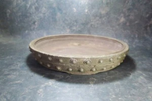 Genuine Japanese Bonsai pot "Yamaaki" from Tokoname. - Picture 1 of 16