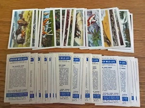 Brooke Bond tea trade cards British Wild Life (Tea Ltd) complete full set loose - Picture 1 of 1