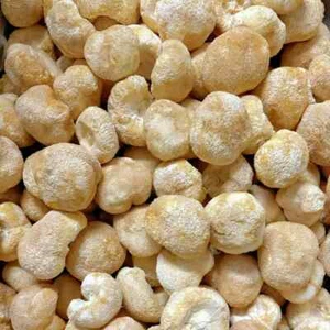 Löwenmähne (100% Bio) Pilz getrocknet - 1 kg - Bild 1 von 8