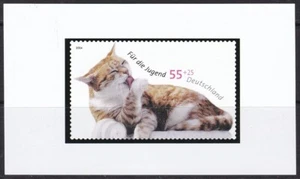 Color Print, Germany ScB939 Cat licking paw - Picture 1 of 1