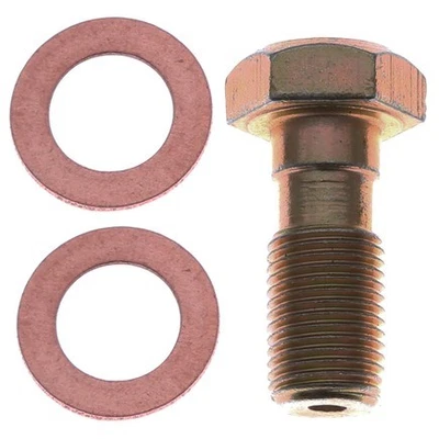 Raybestos H5387 Raybestos R Line Banjo Bolt Foto 1 de 4