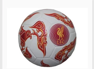 Warrior Liverpool FC Official Size 5 Football Liverpool Football Club RRP £25 - Picture 1 of 1