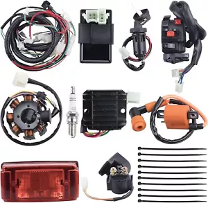 Complete Electrics Wiring Harness Stator Coil CDI Solenoid Relay Spark Plug Tail - Picture 1 of 7