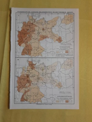 1890-1910s ORIGINAL VINTAGE MAP - Germany Spread Disease Map - Medical - C10-4 - Image 1 of 4