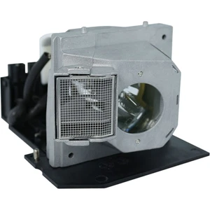 AL™ Series Lamp & Housing for The Kindermann KX2900 Projector - 90 Day Warranty - Picture 1 of 4
