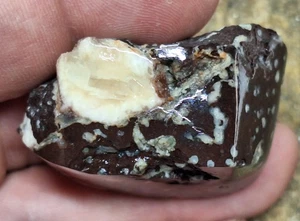 Polished Agate Nodule In Amygdaloidal Basalt -Michigan Copper Mine Keweenaw - Picture 1 of 20