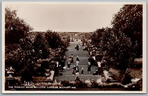 Postcard Belfast Terrace Steps Bellevue Gardens Northern Ireland J Salmon RP - Picture 1 of 2