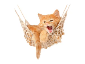 Wandsticker Sticker Wandaufkleber für Kinderzimmer Katze Baby Hängematte - Bild 1 von 2