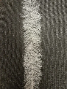Fly Tying_Brush_Shrimp Brush - Picture 1 of 1