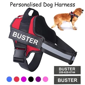 Personalised Dog Harness Strong No Pull Adjustable Reflective Padded Puppy Vest - Picture 1 of 26