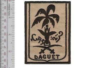 Frankreich Armee Luftwaffe Marine Irak Französische Streitkräfte Operation Daguet Wüste Sturm Krieg - Bild 1 von 1