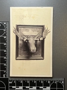 Sammelkarte H. Leach, bedeutender Bostoner Holzbildhauer 1865-1872 Kabinettfoto RAR - Bild 1 von 2